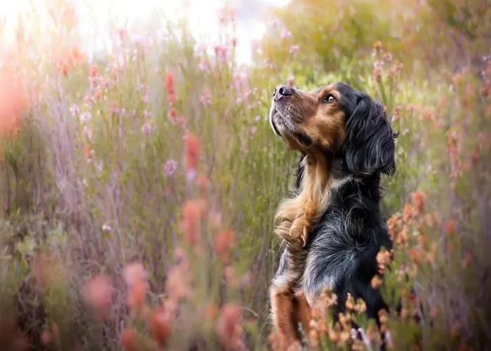 With A Large Private Garden